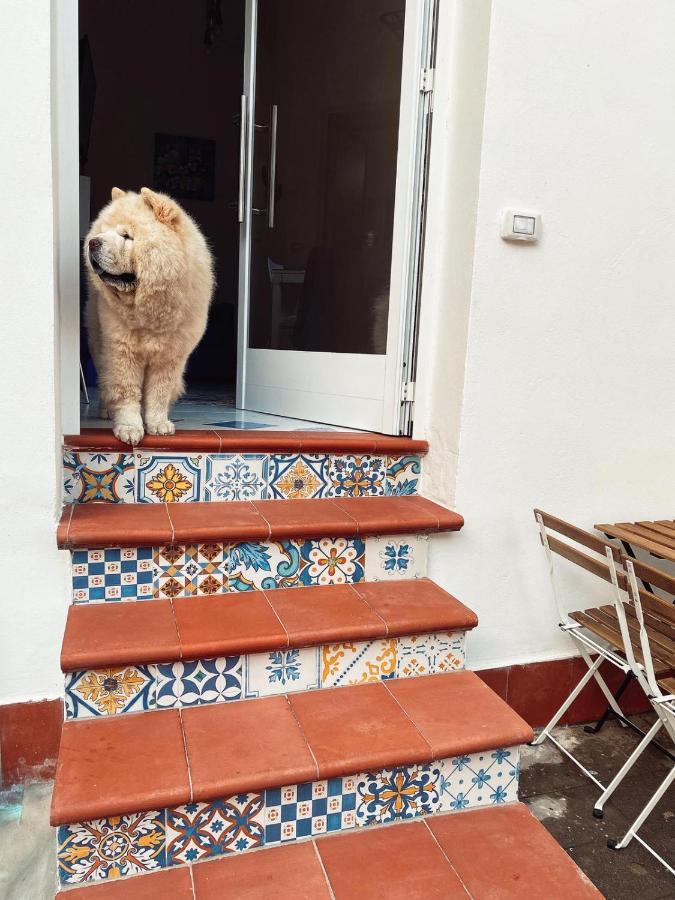 Casa Vacanza Le Tre Sorelle Vietri エクステリア 写真